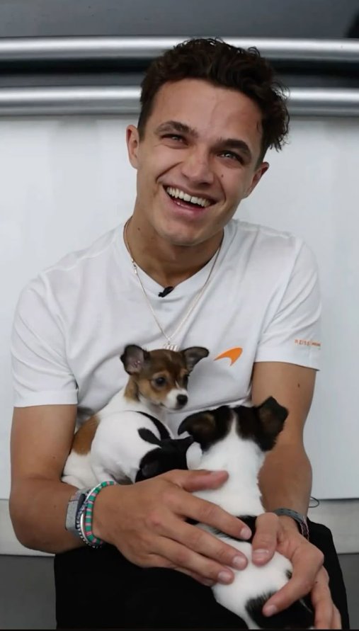 Lando Norris posing with some puppies